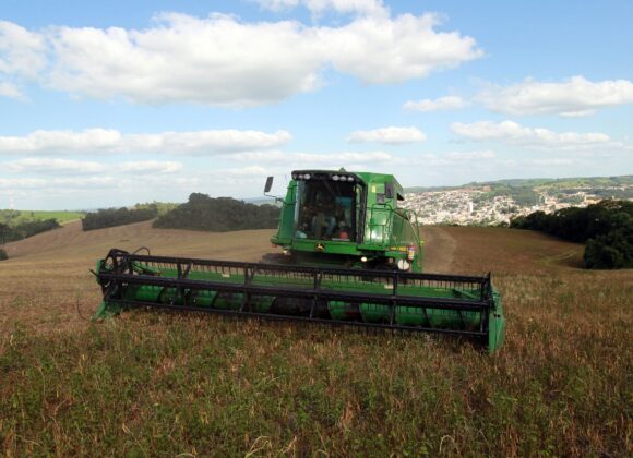 Paraná se destaca como produtor de feijão e contribui significativamente para o abastecimento nacional
