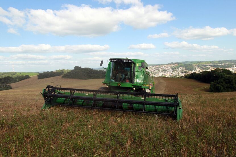 Paraná se destaca como produtor de feijão e contribui significativamente para o abastecimento nacional