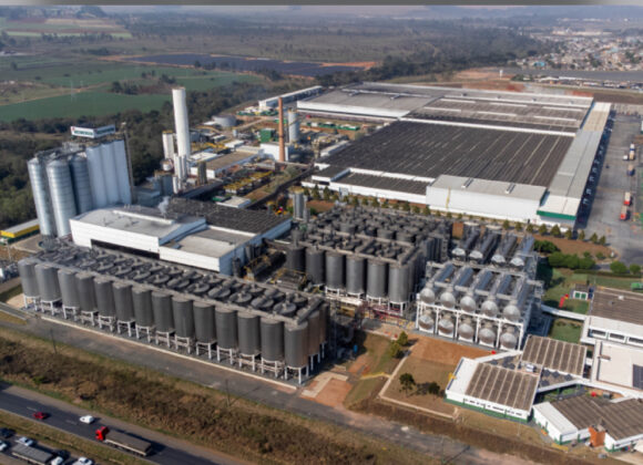 Do campo ao copo: indústria cervejeira investiu R$ 5 bilhões em 5 anos no Paraná