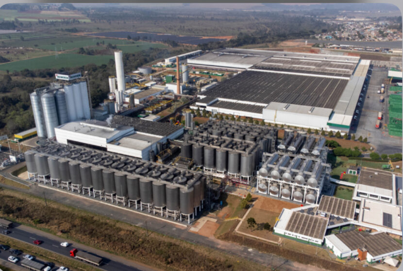 Do campo ao copo: indústria cervejeira investiu R$ 5 bilhões em 5 anos no Paraná
