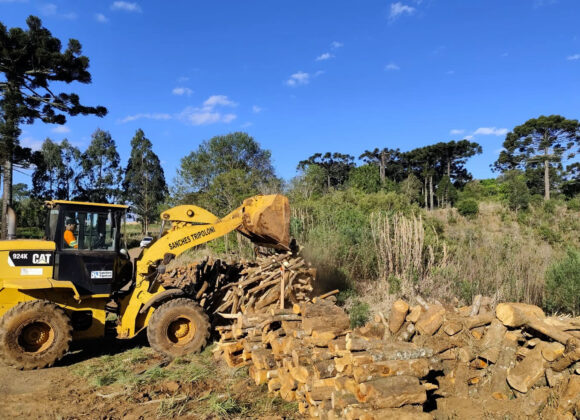 Retirar madeira de obras em rodovias é crime, alerta DER/PR Retirar madeira de obras em rodovias é crime, alerta DER/PR