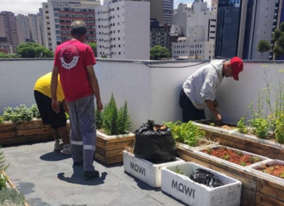 Acolhidos renovam canteiros do Terraço Verde Mais em Curitiba TEMPLATE SITE (69)