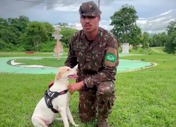 Sargento do Exército Brasil adota cadela que ajudou a resgatar de ataque de sucuri WhatsApp-Image-2026-02-11-at-10.21.41-1600x728-1