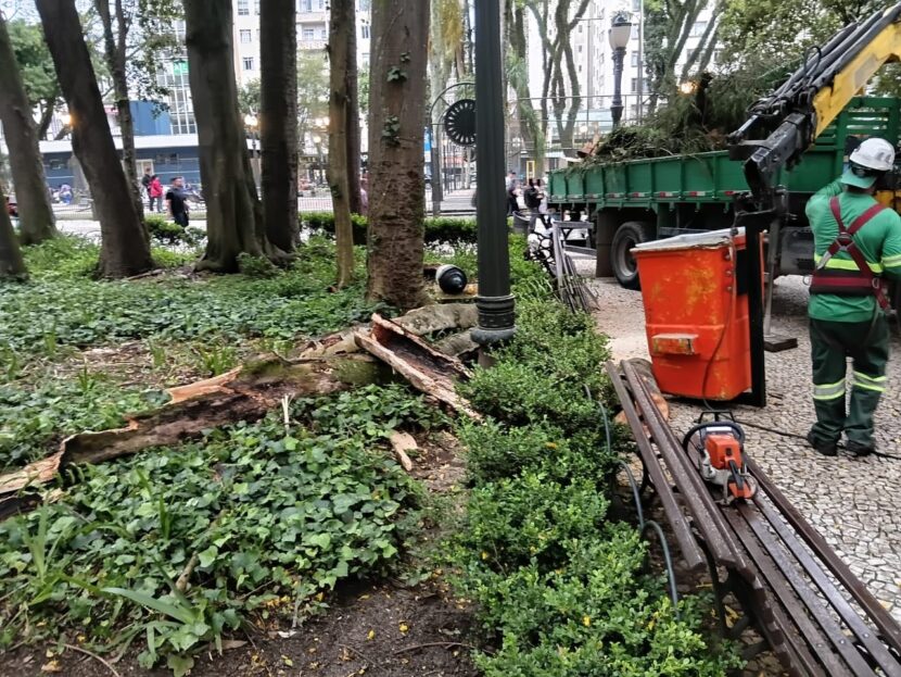 Praça Osório será interditada após novo caso de queda de galho em Curitiba img_4176